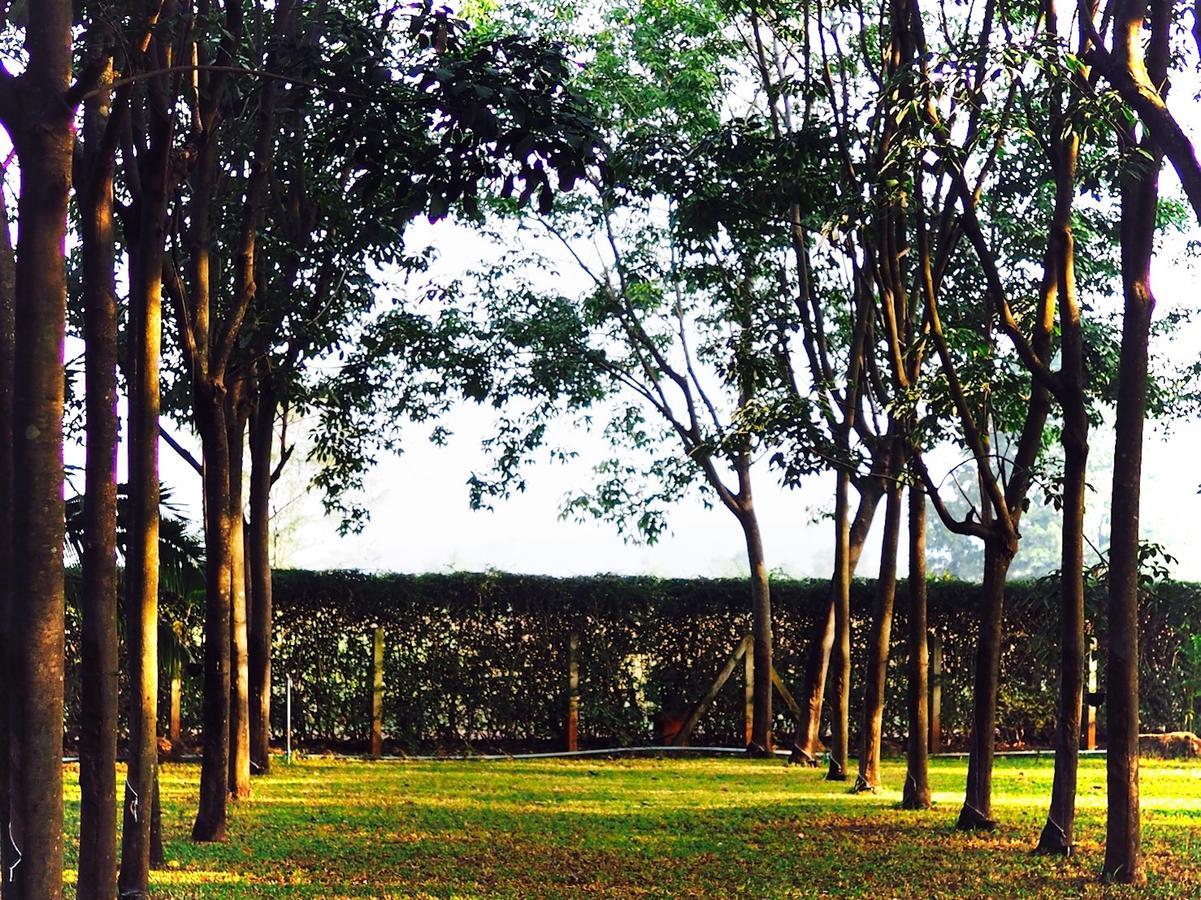 Singha Rubber Tree Hotel Ban Huai Maenam Noi Exterior photo