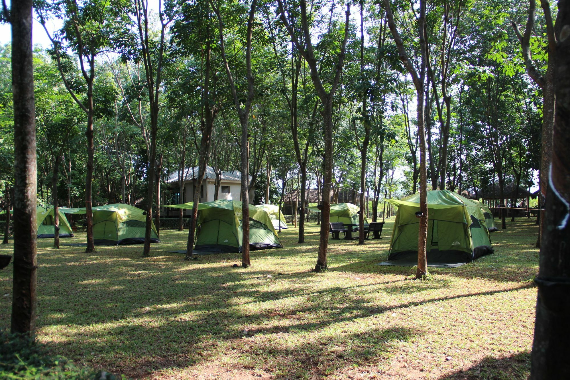 Singha Rubber Tree Hotel Ban Huai Maenam Noi Exterior photo